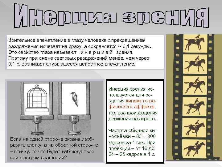 Зрительное впечатление в глазу человека с прекращением раздражения исчезает не сразу, а сохраняется ~
