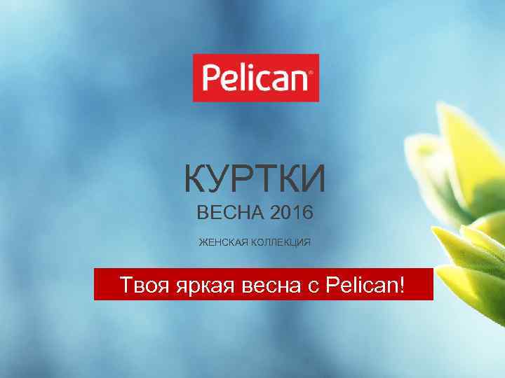 КУРТКИ ВЕСНА 2016 ЖЕНСКАЯ КОЛЛЕКЦИЯ Твоя яркая весна c Pelican! 