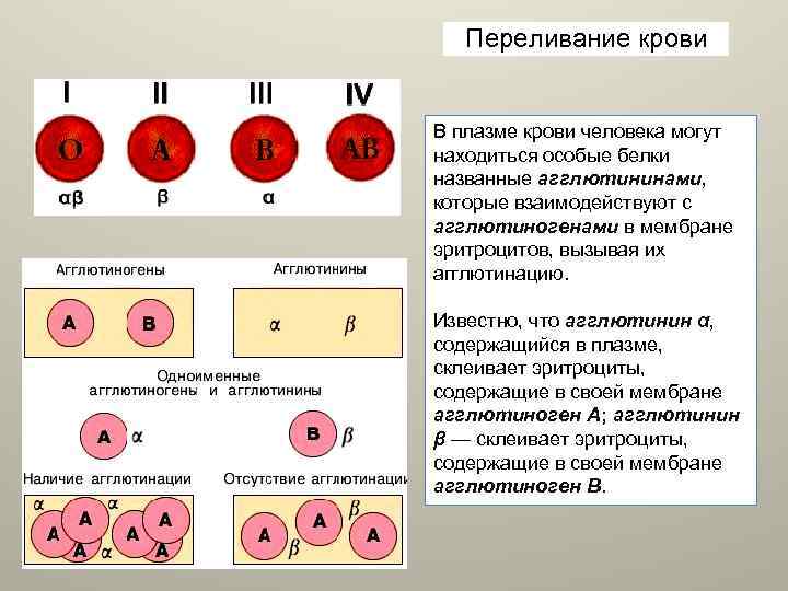 Вязовский группа крови 2. Переливание крови агглютинины. Переливание плазмы крови. Переливание крови таблица. Агглютиногены на мембране эритроцитов.