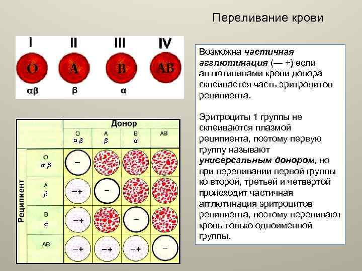 Переливание крови Возможна частичная агглютинация (— +) если агглютининами крови донора склеивается часть эритроцитов