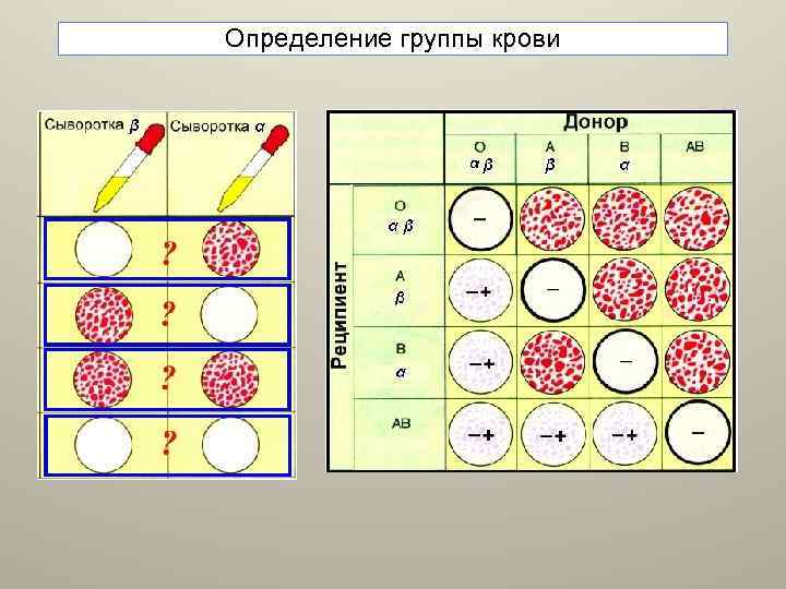 Определение группы крови 