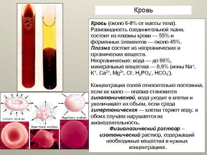 Тест элемента крови. Кровь плазма и форменные элементы крови. Плазма крови схема. Плазменные компоненты крови. Содержание плазмы в крови.