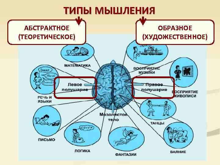 ТИПЫ МЫШЛЕНИЯ АБСТРАКТНОЕ (ТЕОРЕТИЧЕСКОЕ) ОБРАЗНОЕ (ХУДОЖЕСТВЕННОЕ) 