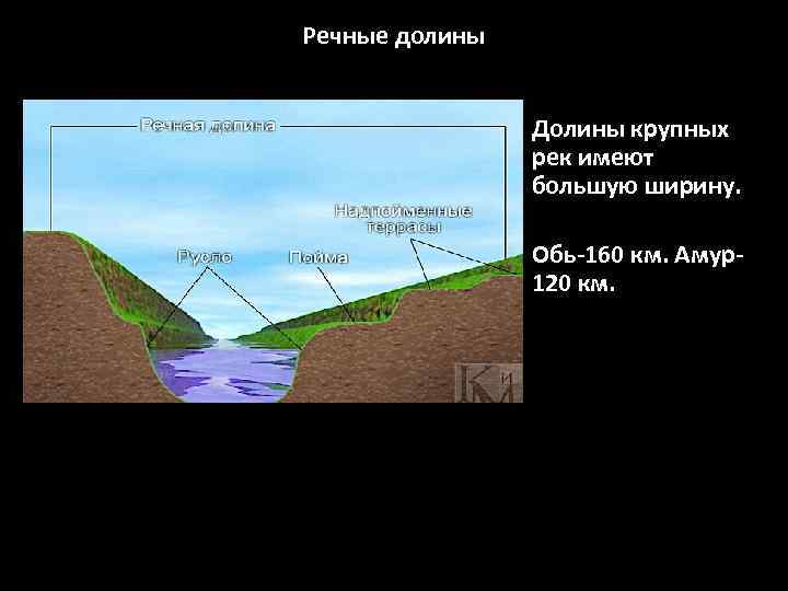 Речные долины Долины крупных рек имеют большую ширину. Обь-160 км. Амур120 км. 