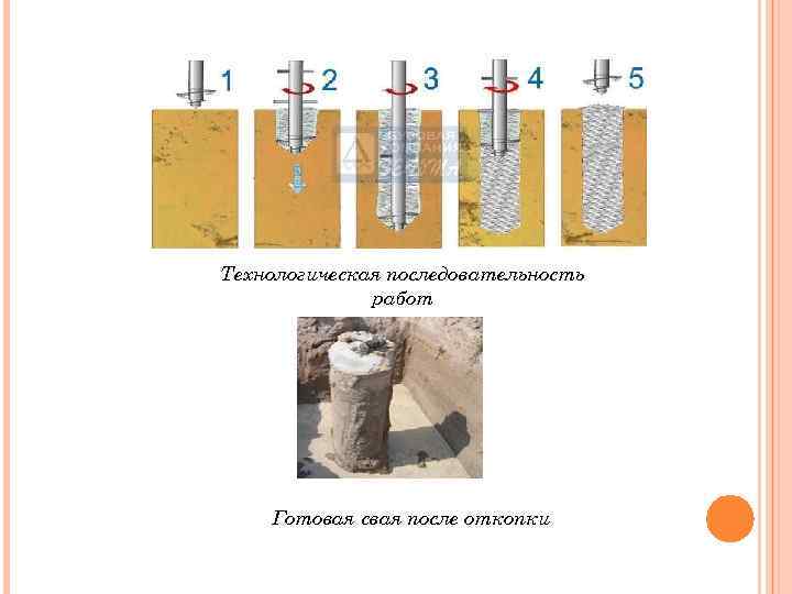 Технологическая последовательность работ Готовая свая после откопки 