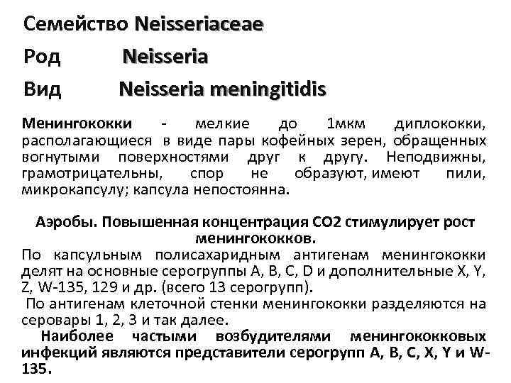 Семейство Neisseriaceae Род Neisseria Вид Neisseria meningitidis Менингококки - мелкие до 1 мкм диплококки,