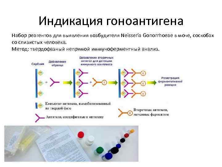 Схема микробиологической диагностики микозов