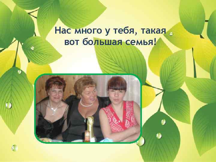 Нас много у тебя, такая вот большая семья! 