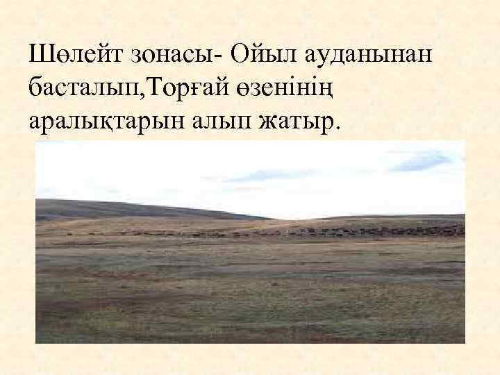 Шөлейт зонасы- Ойыл ауданынан басталып, Торғай өзенінің аралықтарын алып жатыр. 