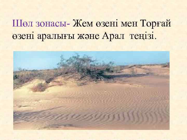 Шөл зонасы- Жем өзені мен Торғай өзені аралығы және Арал теңізі. 