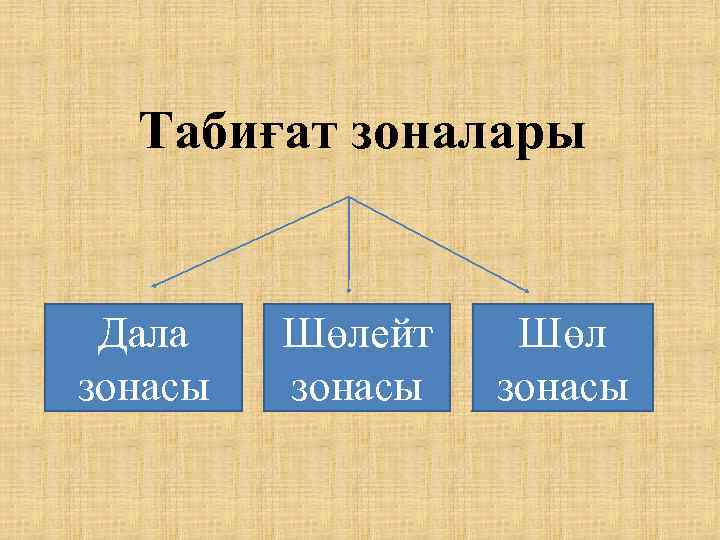 Табиғат зоналары Дала зонасы Шөлейт зонасы Шөл зонасы 