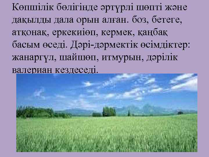 Көпшілік бөлігінде әртүрлі шөпті және дақылды дала орын алған. боз, бетеге, атқонақ, еркекиіөп, кермек,