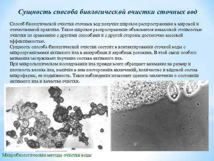 Сущность способа биологической очистки сточных вод Способ биологической очистки сточных вод получил широкое распространение