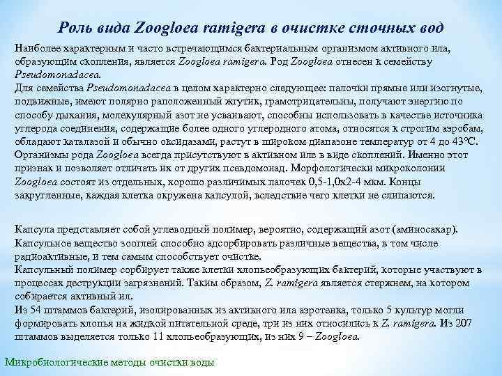 Роль вида Zoogloea ramigera в очистке сточных вод Наиболее характерным и часто встречающимся бактериальным