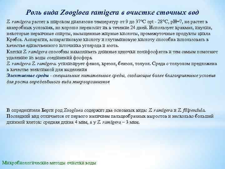 Роль вида Zoogloea ramigera в очистке сточных вод Z. ramigera растет в широком диапазоне