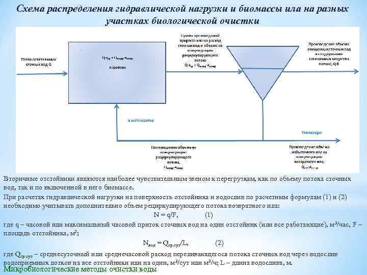 Схема распределения гидравлической нагрузки и биомассы ила на разных участках биологической очистки Вторичные отстойники