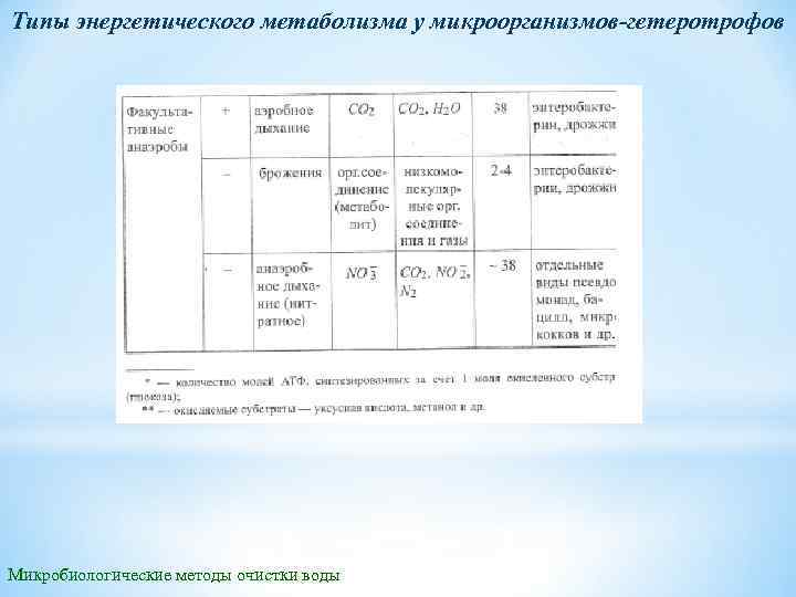 Типы энергетического метаболизма у микроорганизмов гетеротрофов Микробиологические методы очистки воды 