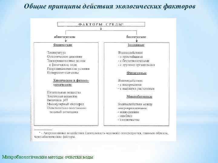 Общие принципы действия экологических факторов Микробиологические методы очистки воды 