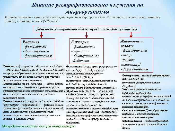 Влияние ультрафиолетового излучения на микроорганизмы Прямые солнечные лучи губительно действуют на микроорга низмы. Это