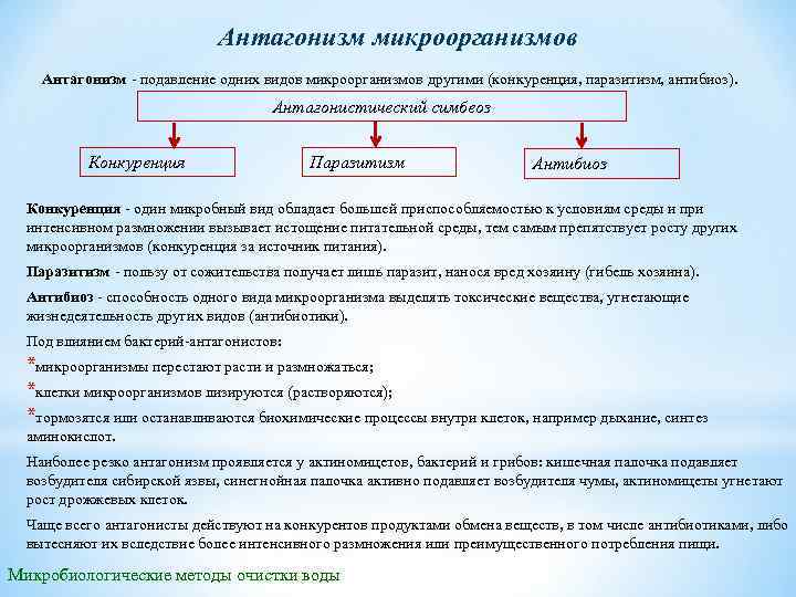 Антагонизм микроорганизмов Антагонизм подавление одних видов микроорганизмов другими (конкуренция, паразитизм, антибиоз). Антагонистический симбеоз Конкуренция