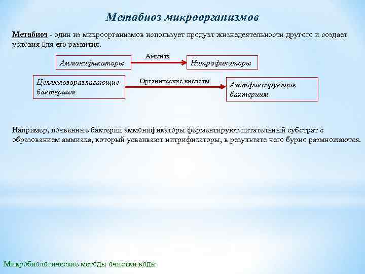 Метабиоз микроорганизмов Метабиоз один из микроорганизмов использует продукт жизнедеятельности другого и создает условия для