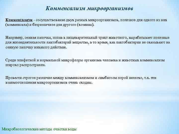 Комменсализм микроорганизмов Комменсализм сосуществование двух разных микроорганизмов, полезное для одного из них (комменсала) и