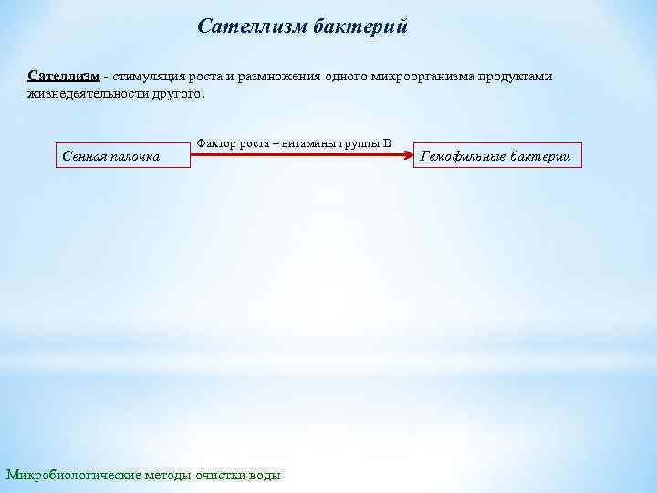 Сателлизм бактерий Сателлизм стимуляция роста и размножения одного микроорганизма продуктами жизнедеятельности другого. Сенная палочка
