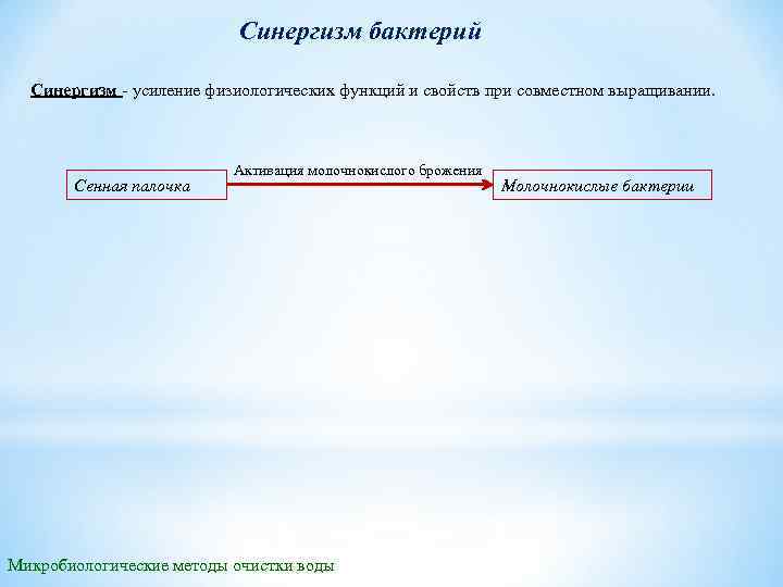 Синергизм бактерий Синергизм усиление физиологических функций и свойств при совместном выращивании. Сенная палочка Активация