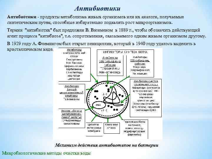 Антибиотики продукты метаболизма живых организмов или их аналоги, получаемые синтетическим путем, способные избирательно подавлять