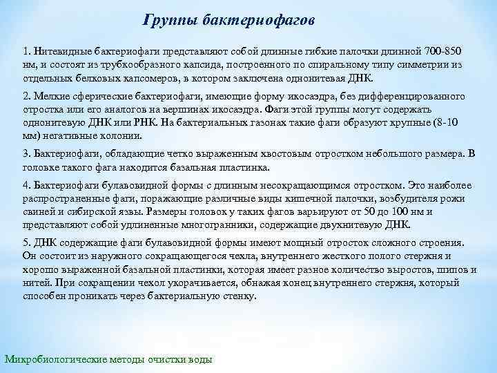 Группы бактериофагов 1. Нитевидные бактериофаги представляют собой длинные гибкие палочки длинной 700 850 нм,