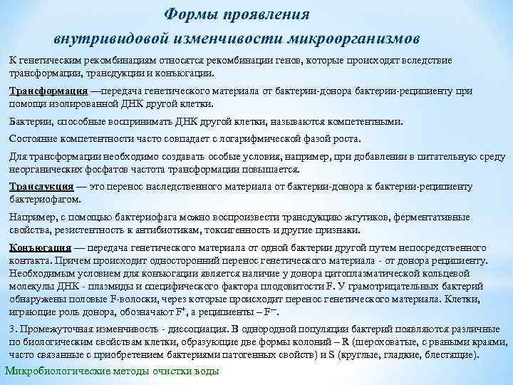 Формы проявления внутривидовой изменчивости микроорганизмов К генетическим рекомбинациям относятся рекомбинации генов, которые происходят вследствие