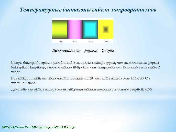 Температурные диапазоны гибели микроорганизмов Вегетативные формы Споры бактерий гораздо устойчивей к высоким температурам, чем