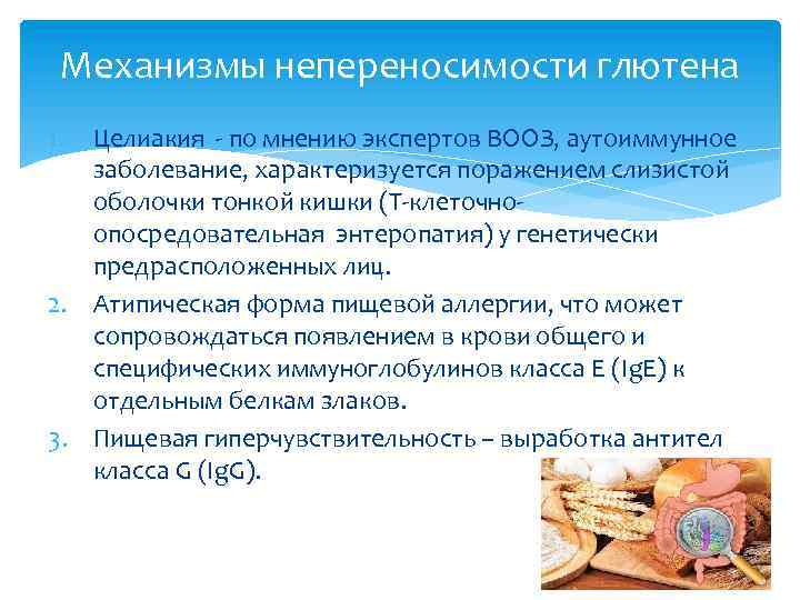 Механизмы непереносимости глютена 1. Целиакия - по мнению экспертов ВООЗ, аутоиммунное заболевание, характеризуется поражением