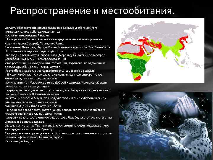 Область распространения политики