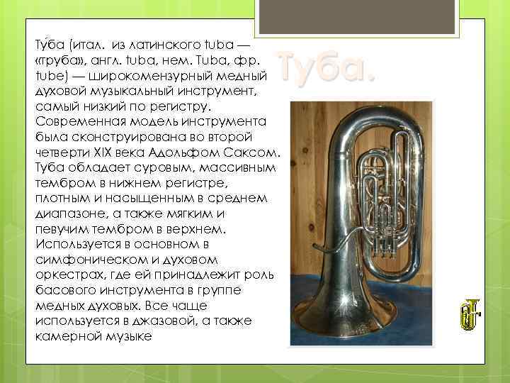 Ту ба (итал. из латинского tuba — «труба» , англ. tuba, нем. Tuba, фр.