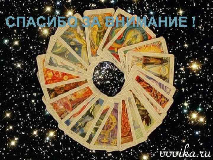 СПАСИБО ЗА ВНИМАНИЕ ! 