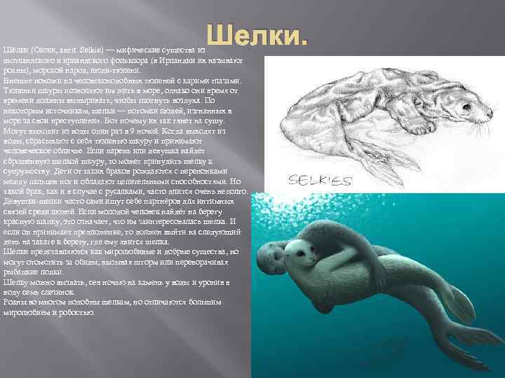 Шелки. Шéлки (Сéлки, англ. Selkie) — мифические существа из шотландского и ирландского фольклора (в