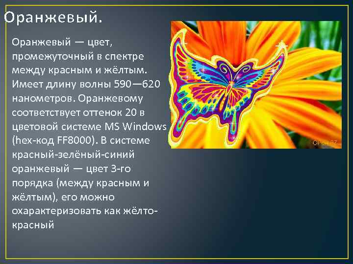 Оранжевый — цвет, промежуточный в спектре между красным и жёлтым. Имеет длину волны 590—