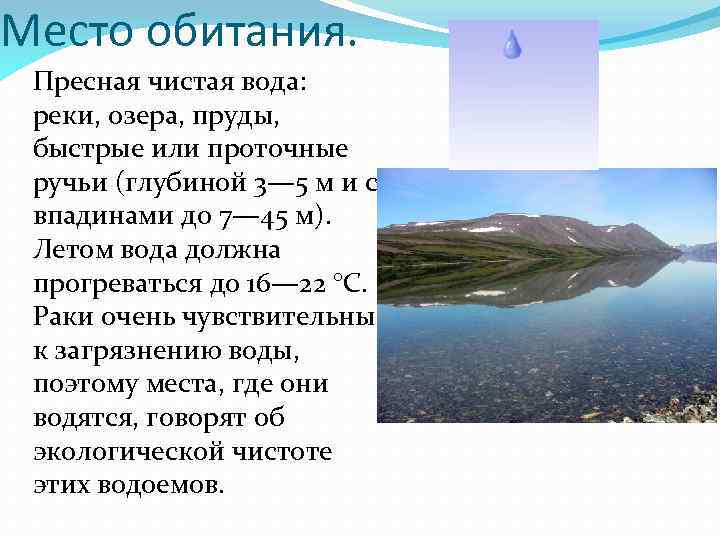 Место обитания. Пресная чистая вода: реки, озера, пруды, быстрые или проточные ручьи (глубиной 3—