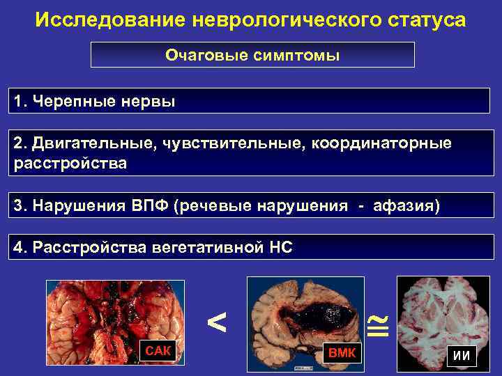 Исследование неврологического статуса Очаговые симптомы 1. Черепные нервы 2. Двигательные, чувствительные, координаторные расстройства 3.