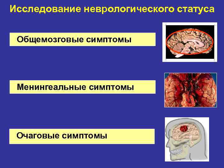 Исследование неврологического статуса Общемозговые симптомы Менингеальные симптомы Очаговые симптомы 