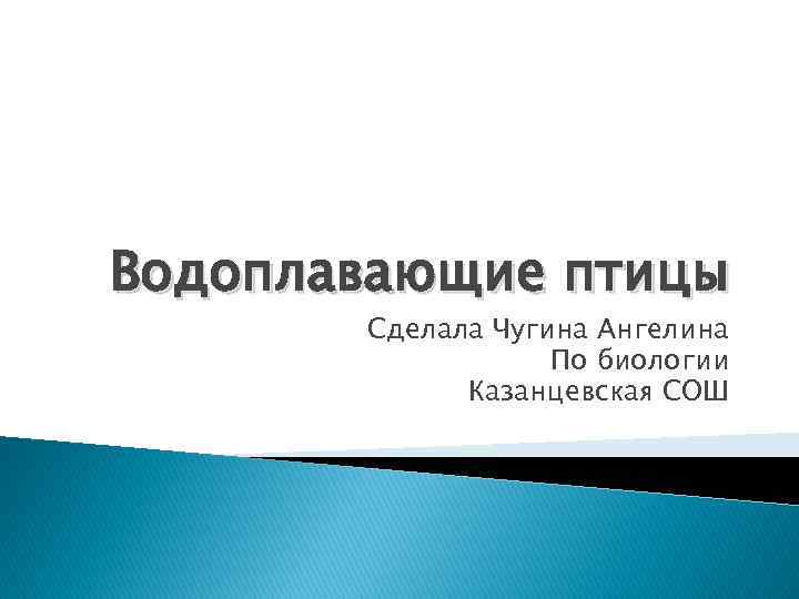 Водоплавающие птицы Сделала Чугина Ангелина По биологии Казанцевская СОШ 