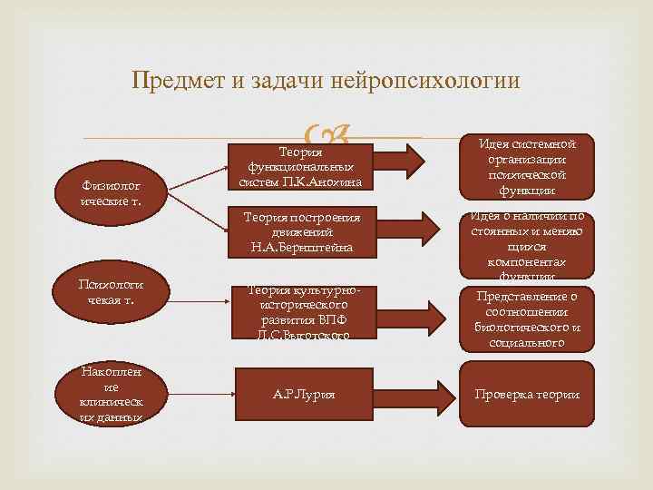 Предмет и задачи нейропсихологии Физиолог ические т. Теория функциональных систем П. К. Анохина Теория