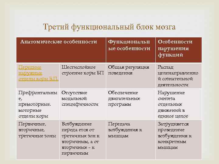 Третий функциональный блок мозга Анатомические особенности Функциональн ые особенности Особенности нарушения функций Передние Шестислойное