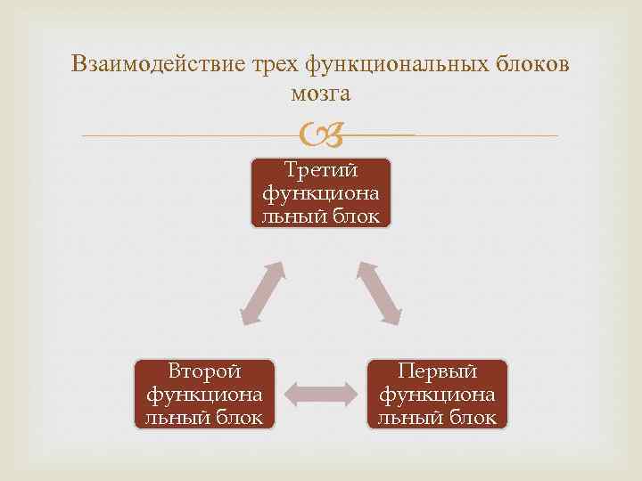 Взаимодействие с 3 ли. Взаимодействие блоков мозга.