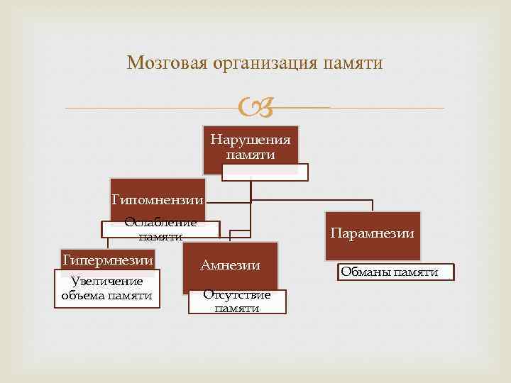 Мозговая организация памяти Нарушения памяти Гипомнензии Ослабление памяти Гипермнезии Увеличение объема памяти Парамнезии Амнезии