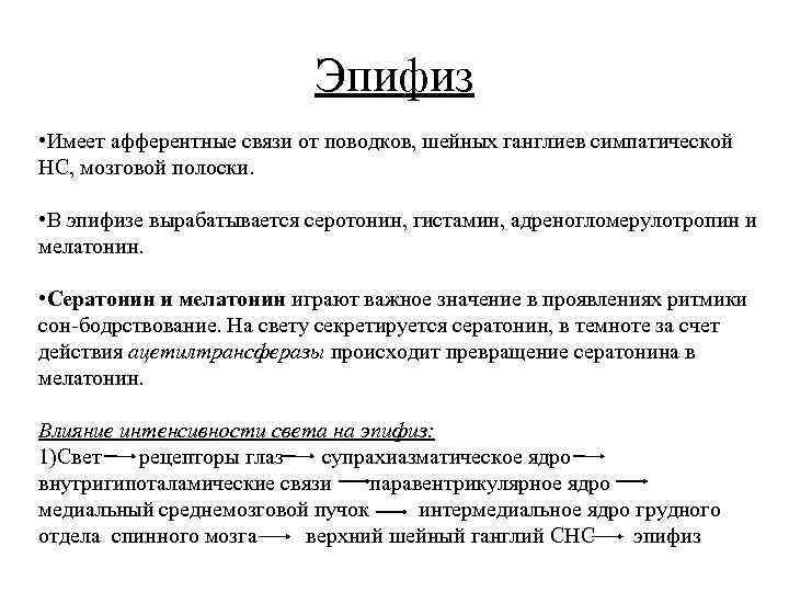 Эпифиз • Имеет афферентные связи от поводков, шейных ганглиев симпатической НС, мозговой полоски. •