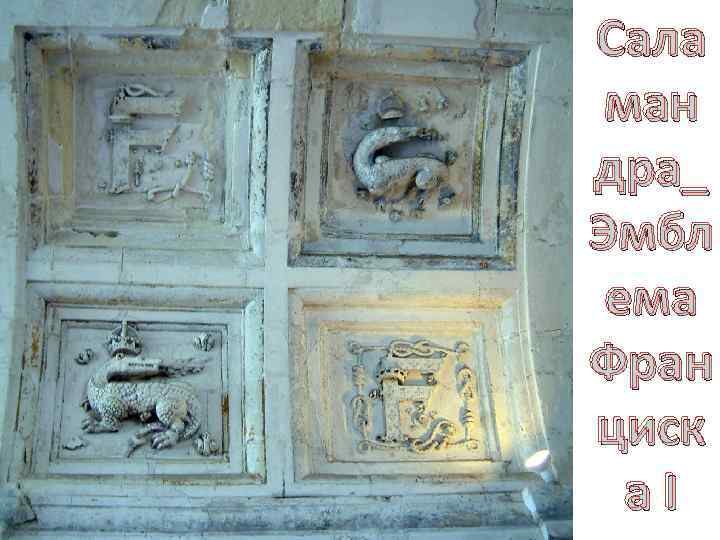 Сала ман дра_ Эмбл ема Фран циск а. I 