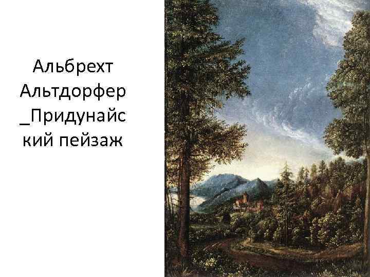 Альбрехт Альтдорфер _Придунайс кий пейзаж 