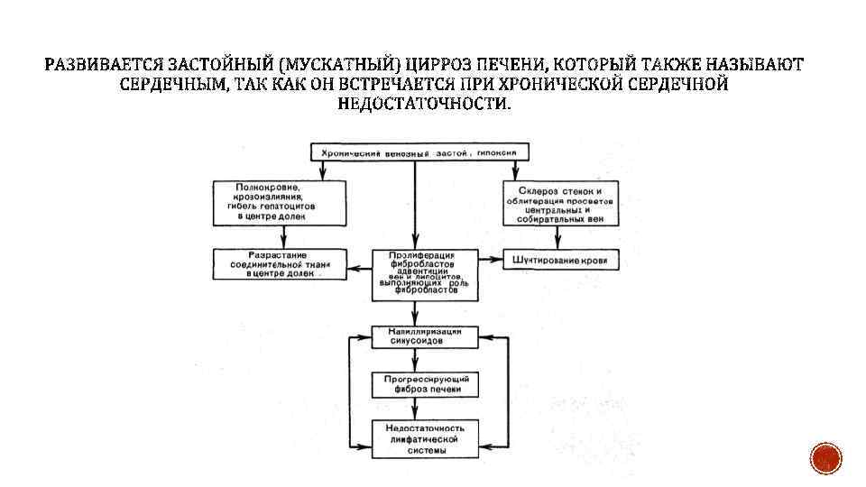 Патанатомия в схемах и таблицах благодаров